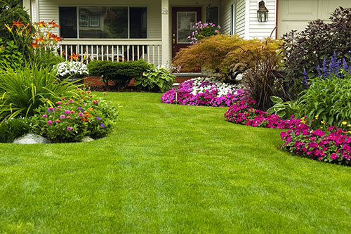 Lawn & Garden